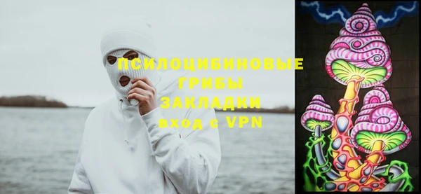 стафф Аркадак
