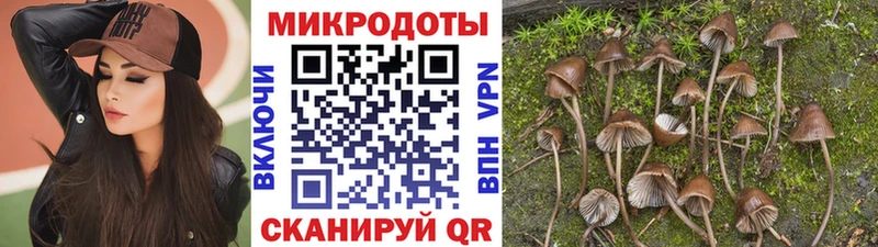 Галлюциногенные грибы ЛСД  omg как зайти  Заполярный  купить наркотики сайты 